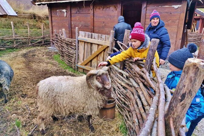 PRIVATE GUIDED TOUR: The Heart of Norway  Viking Special, 8-9 hours  WINTER - FAQ