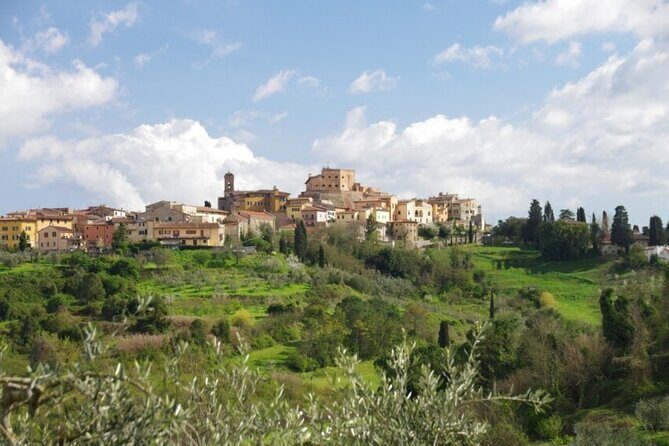 Private Guided Tour to Pisa and local Wine Farm from Livorno port - Key Points