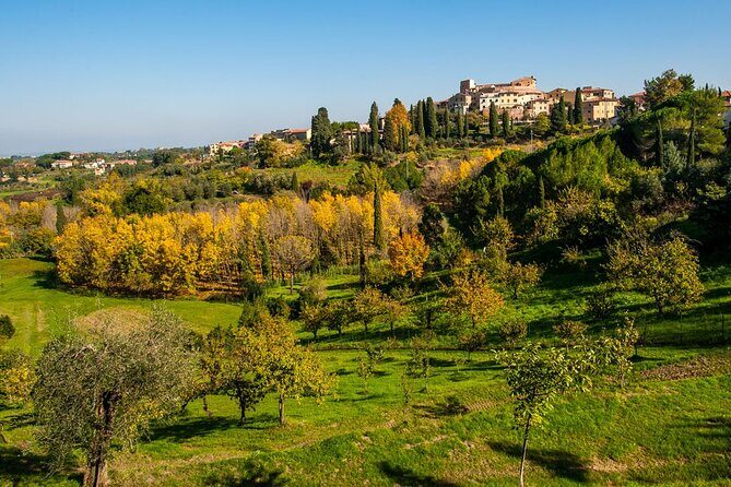 Private Guided Tour to Pisa and local Wine Farm from Livorno port - FAQ