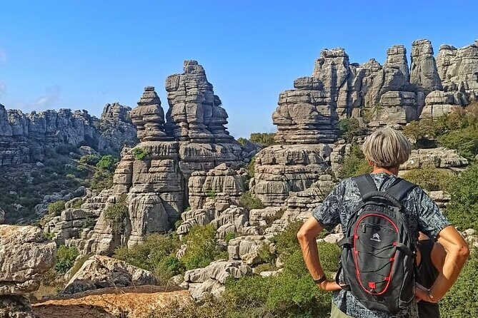 Private Guided Tour to Torcal de Antequera - Discovering El Torcal: What Makes This Tour Special