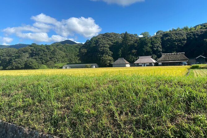 Private Guided Tour with a Rental Electric Bike or Tuktuk in Ise - FAQ