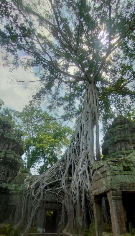 Private Guided Tours From Angkor Wat Sunrise To Banteay Srei - The Start: Early Morning Pickup & Departure