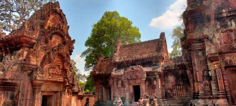 Private Guided Tours From Angkor Wat Sunrise To Beng Mealea - The Sum Up