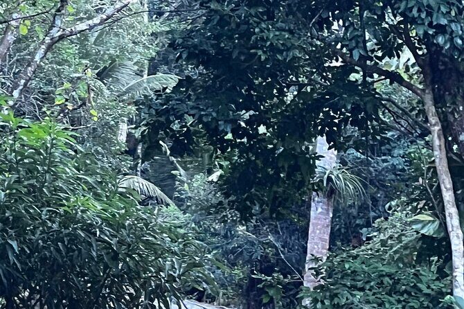 Private Guided Tours in Rio las Pailas - Who Will Love This Tour?