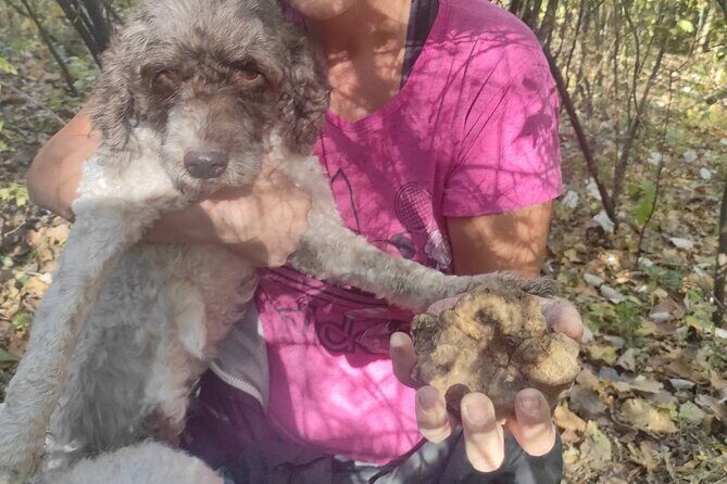 Private Guided Truffle Hunting Tour in Serbia with Lunch - The Culinary Reward: A Truffle Feast