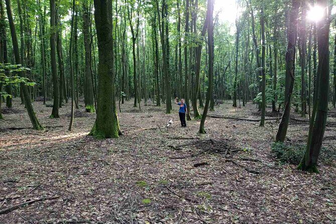 Private Guided Truffle Hunting Tour in Serbia with Lunch - Authentic and Balanced Experience: What Travelers Say