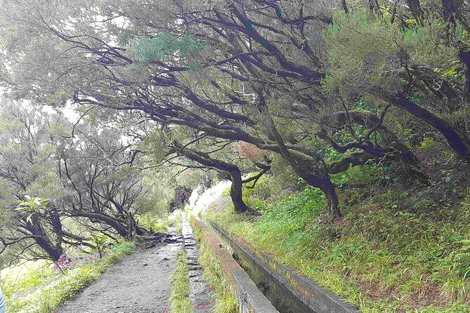 Private Guided Walk Levada 25 Fontes - Key Points