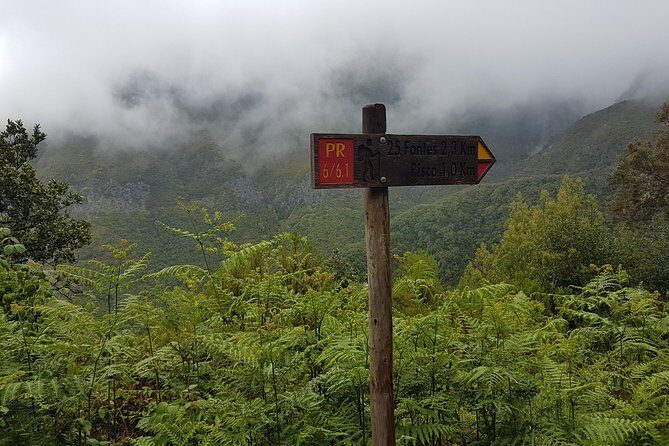 Private Guided Walk Levada 25 Fontes - The Sum Up