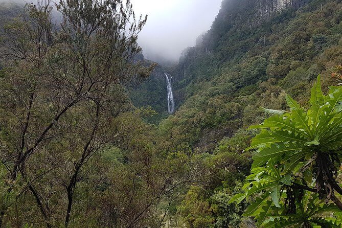 Private Guided Walk Levada 25 Fontes - FAQ
