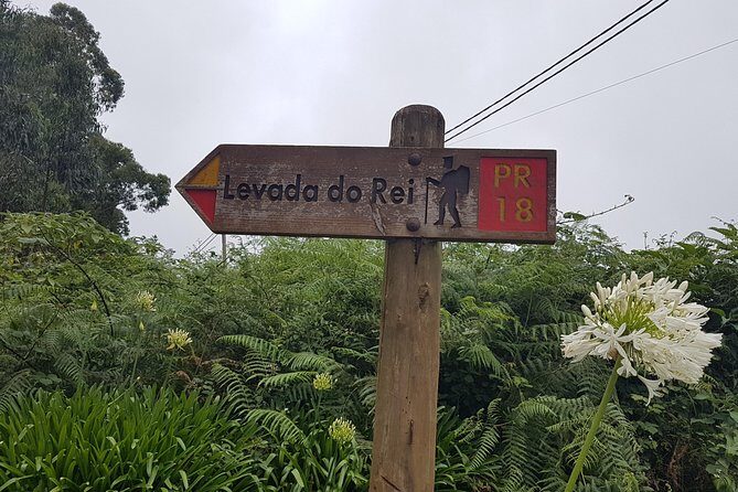 Private Guided Walk Levada do Rei - The Benefits of a Private Guided Experience