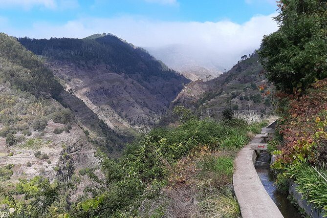 Private Guided Walk Ponta do Sol Levada Moinho - An Authentic Madeira Experience: Private Guided Walk from Ponta do Sol to Moinho
