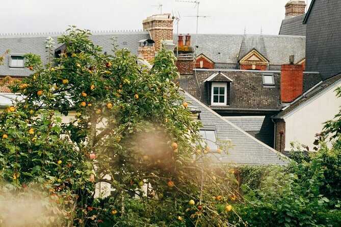 Private Guided Walking Discovery Tour of Honfleur - Who Should Book This Tour?