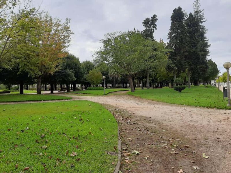 Private guided walking tour in Coimbra (8 hours) - What to Expect: Practical Details & Tips