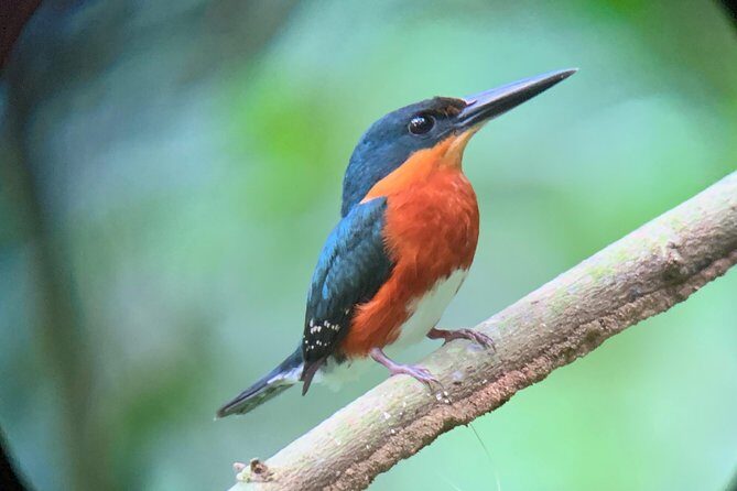 Private Guided Walking Tour in Hacienda Baru - A Closer Look at the Private Guided Walking Tour in Hacienda Baru