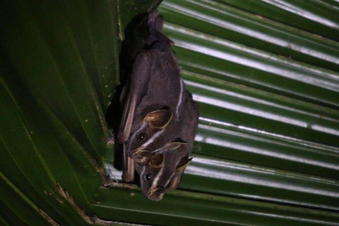 Private Guided Walking Tour in Hacienda Baru - Final Recommendation