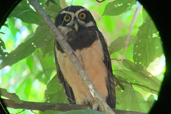 Private Guided Walking Tour in Hacienda Baru TICKET NOT included - Who Should Consider This Tour?