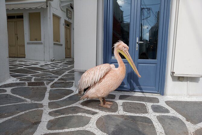 Private Guided Walking Tour in Mykonos Town - Key Points