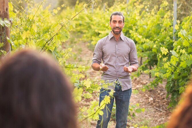 Private Guided Wine Tasting with Tour of the Vineyards in Vieste - An In-Depth Look at the Experience
