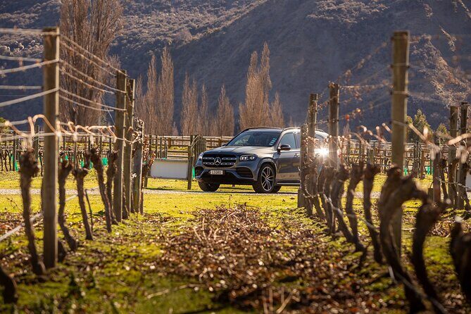 Private Guided Wine Tour Ex Queenstown - Exploring the Gibbston Valley: An In-Depth Look