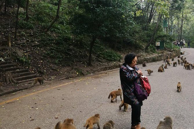 Private Guiyang Day Tour including Qingyan Ancient Town and Qianling Park - Key Points