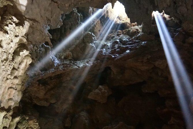 Private Ha Long bay day trip(From Hanoi city or Halong harbour) - Authentic Experiences That Stand Out