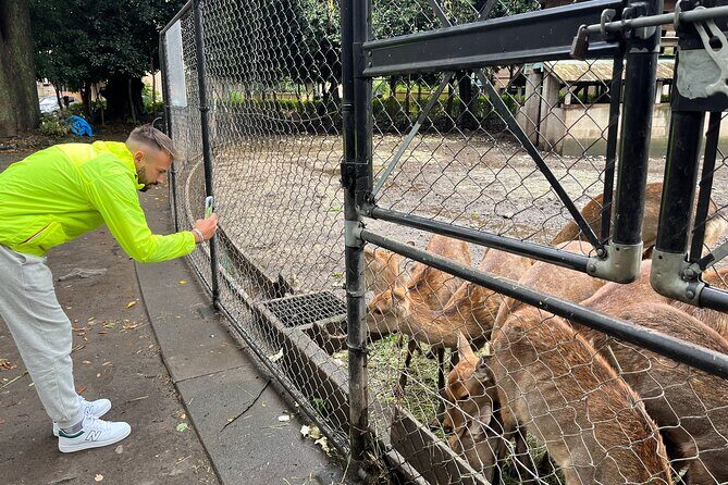 Private Hakone Full-day Car Tour with Hotel Pickup - Local Guide - Detailed Itinerary Breakdown