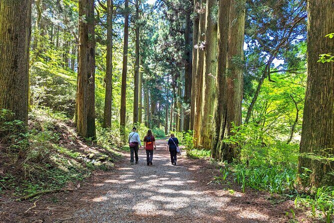 Private Hakone Tour - View of Mt. Fuji, Nature and Culture - Exploring Hakone: An Authentic Day Trip from Tokyo