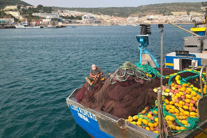 Private Half Day Arrabida Tour with Wine Tasting in Sesimbra - Wine Tasting at Bacalhoa – A Top Portuguese Winery