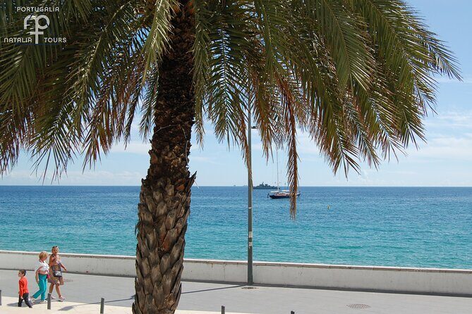 Private Half Day Arrabida Tour with Wine Tasting in Sesimbra - A Fun and Scenic Finale