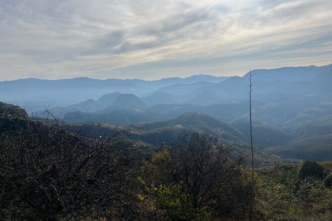 Private Half Day Bird Watching Experience - Exploring the Natural Beauty of Presa Piedra Azul