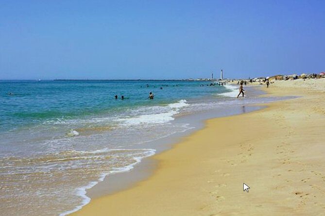Private Half-Day Boat Tour in Ria Formosa from Faro - FAQs