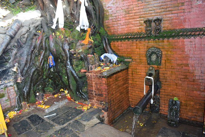 Private Half Day Budhanilkantha Tour - FAQ