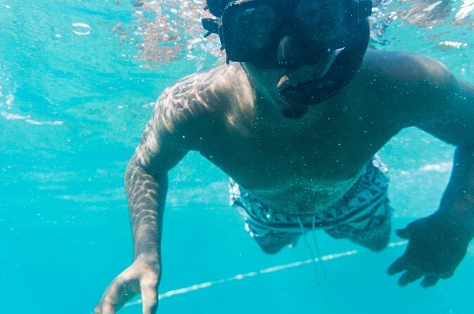 Private Half Day Catamaran Charter - Who Is This Tour Best For?