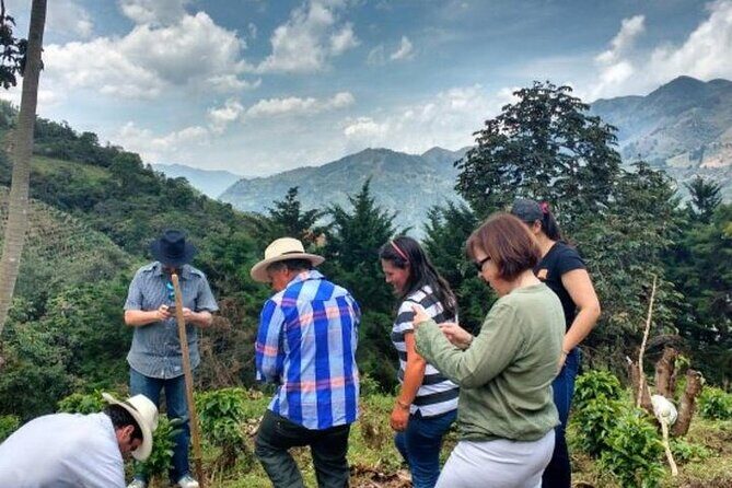 Private Half-Day Coffee Tour at Family Farm Close to Medellín! - Key Points