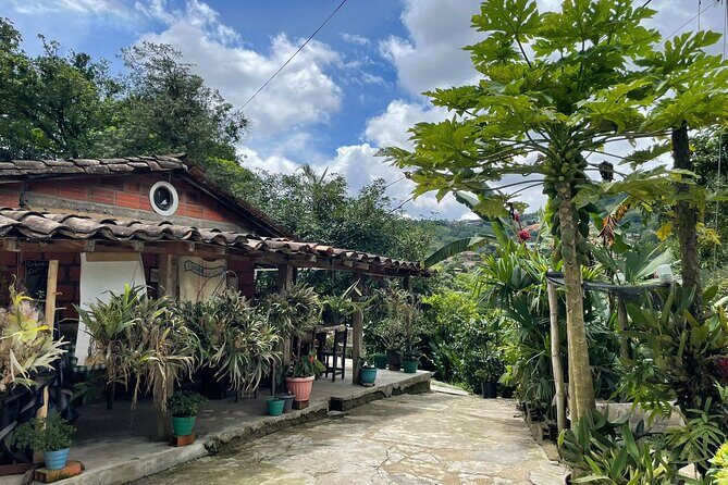 Private Half-Day Coffee Tour at Family Farm Close to Medellín! - The Sum Up