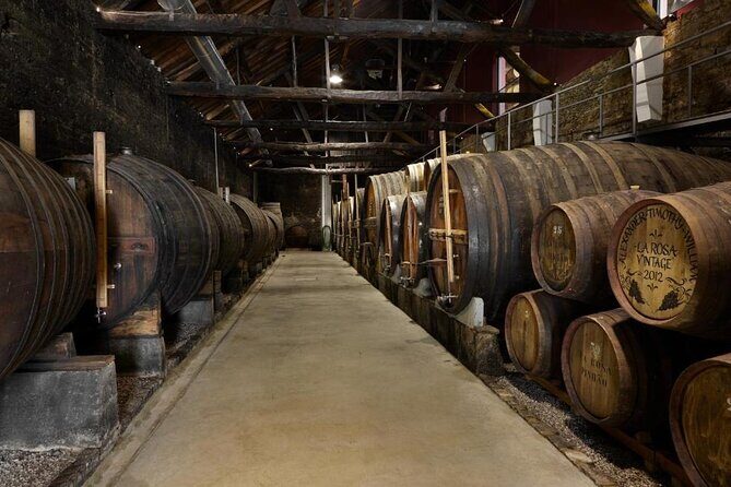 Private Half-Day Douro Tour - Key Points