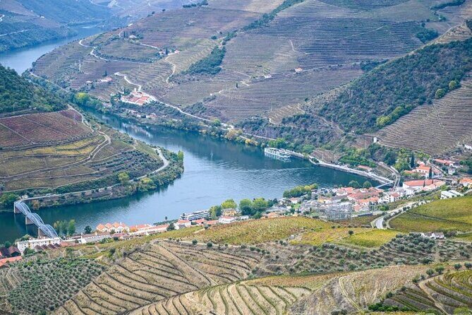 Private Half-Day Douro Tour - Why This Tour Offers Great Value