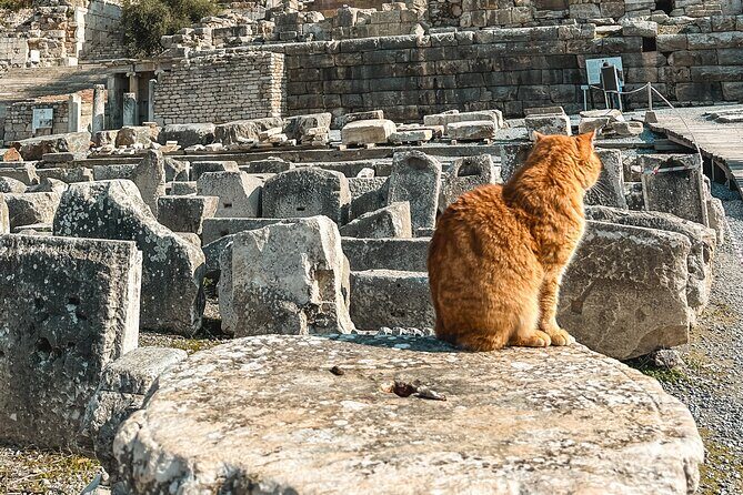 Private Half Day Ephesus Shore Excursion from Kusadasi - An In-Depth Look at the Private Half Day Ephesus Shore Excursion