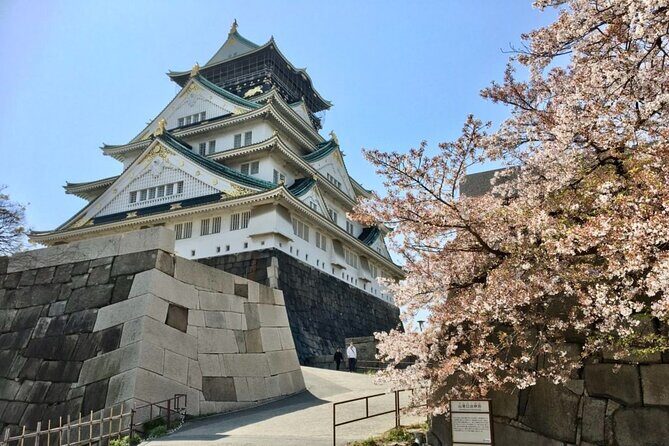Private Half-Day Guided Tour of Osaka Castle - Practical Considerations and Value