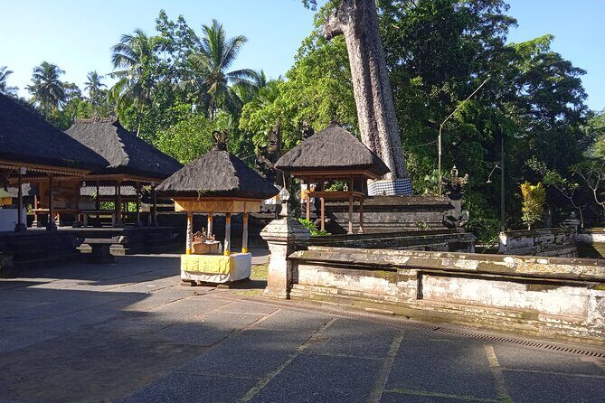 Private Half Day Heritage and Cultural Ubud Tour - All Inclusive - Who Should Consider This Tour?
