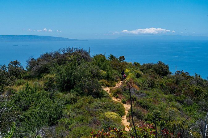 Private Half Day Hidden Hollywood Tour - Final Thoughts