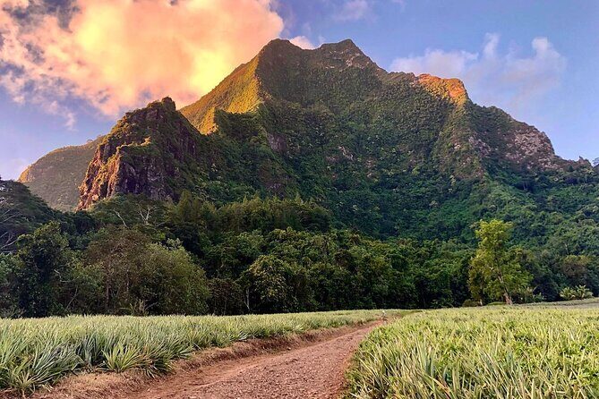 Private Half-Day Hike in the Opunohu Valley in Moorea - A Detailed Look at the Moorea Opunohu Valley Hike