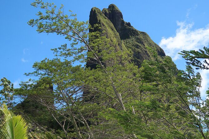Private Half-Day Hike in the Opunohu Valley in Moorea - The Sum Up: Is This the Right Experience for You?