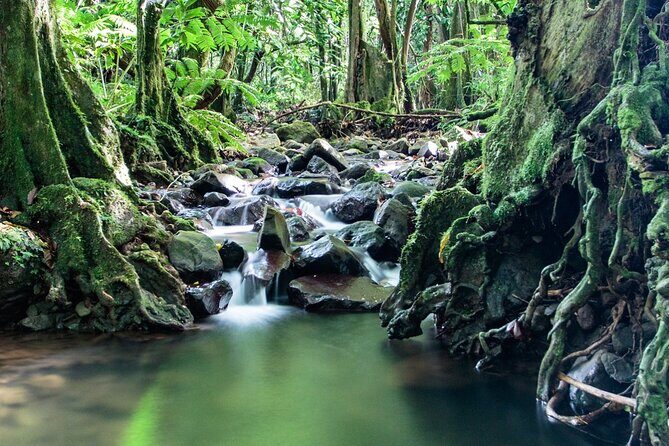 Private Half-Day Hike in the Opunohu Valley in Moorea - FAQ