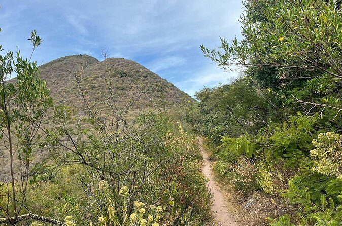 Private Half Day Hiking Experience in Picacho - Key Points