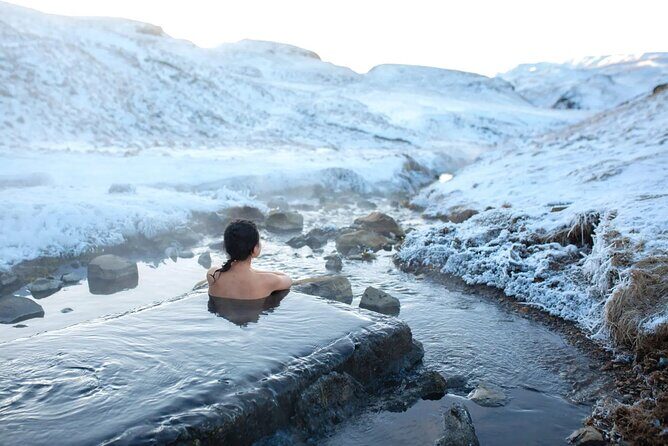 Private Half Day Iceland Tour with Guide and Vehicle - Who Should Consider This Tour?