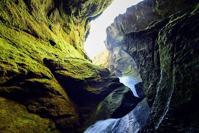 Private Half Day Iceland Tour with Guide and Vehicle - Final Thoughts