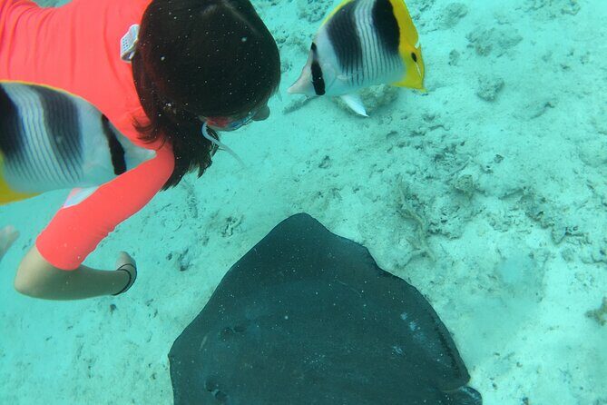 PRIVATE HALF DAY LAGOON TOUR - Bora Bora Cultural Lagoon Tour - A Closer Look at the Bora Bora Cultural Lagoon Tour