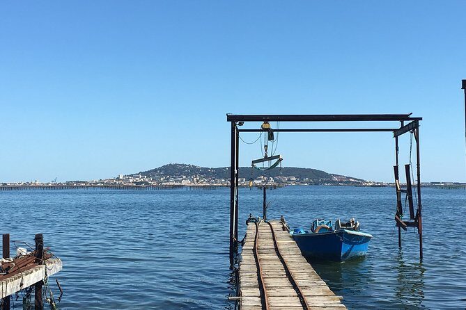 Private Half-Day Languedoc Wine and Oyster Tour from Sète - Price and Value