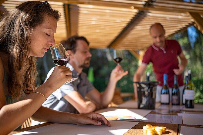 Private Half-Day Languedoc Wine Tour from Sète - A Genuine Look at the Private Half-Day Languedoc Wine Tour from Sète